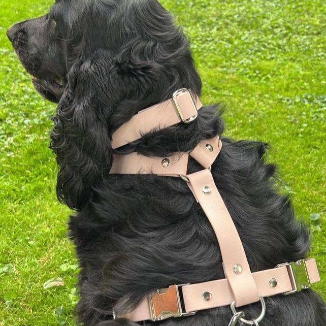 Splash By Happy - Wholesale Pet Collar - Dog - Biothane® clip necklace6