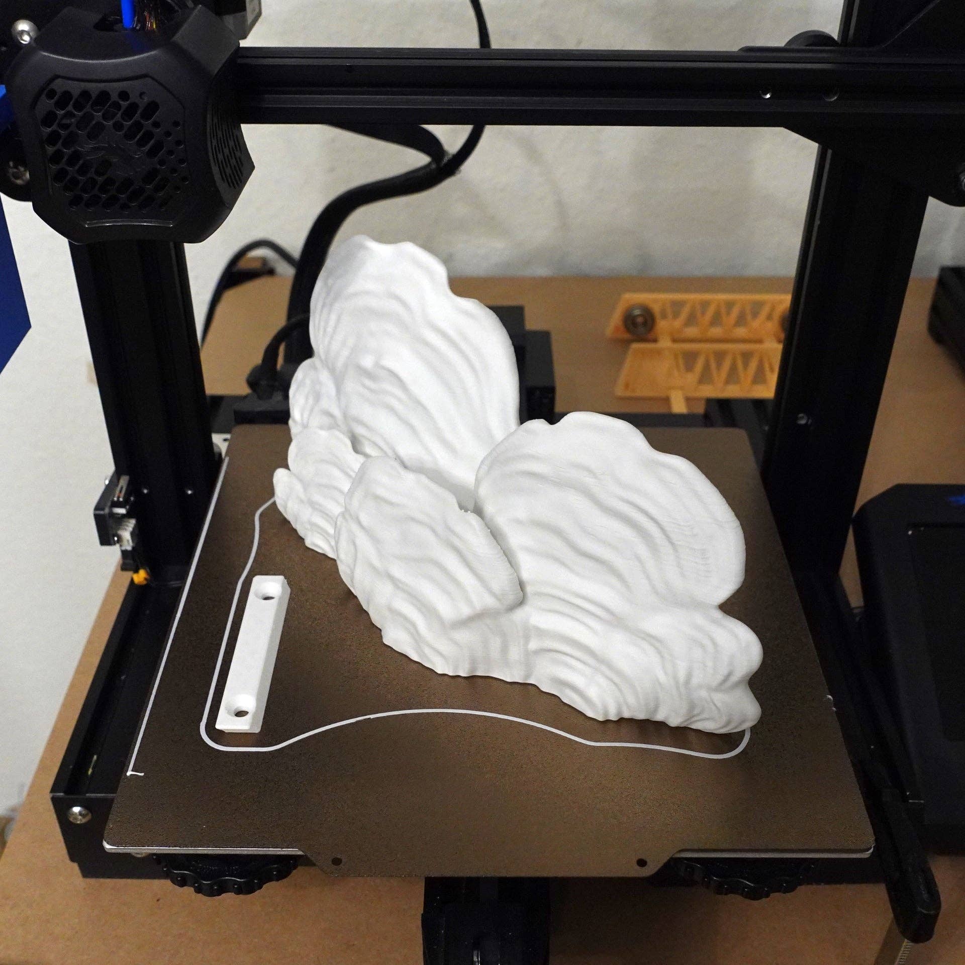 Brehmwood Creative - Wholesale Wall Mounted Shelf - Shimmering Ostrea Floating Shelf - Unique Fungus Design in 6 Colors, Perfect Home Decor1