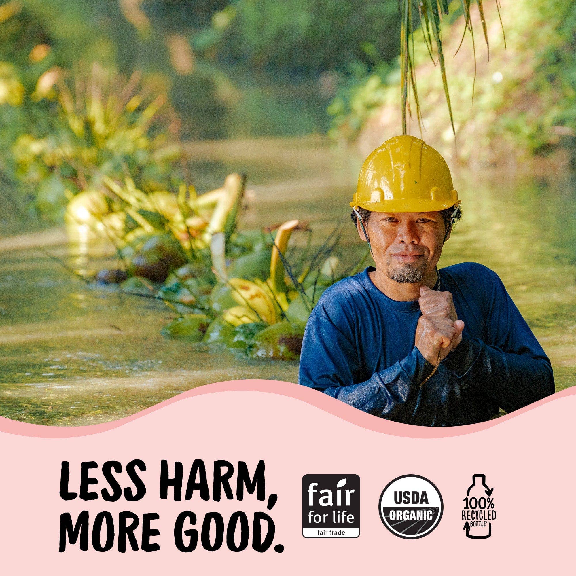 Harmless Harvest - Wholesale Fruit Juice - Organic Coconut Smoothie/12 pack2