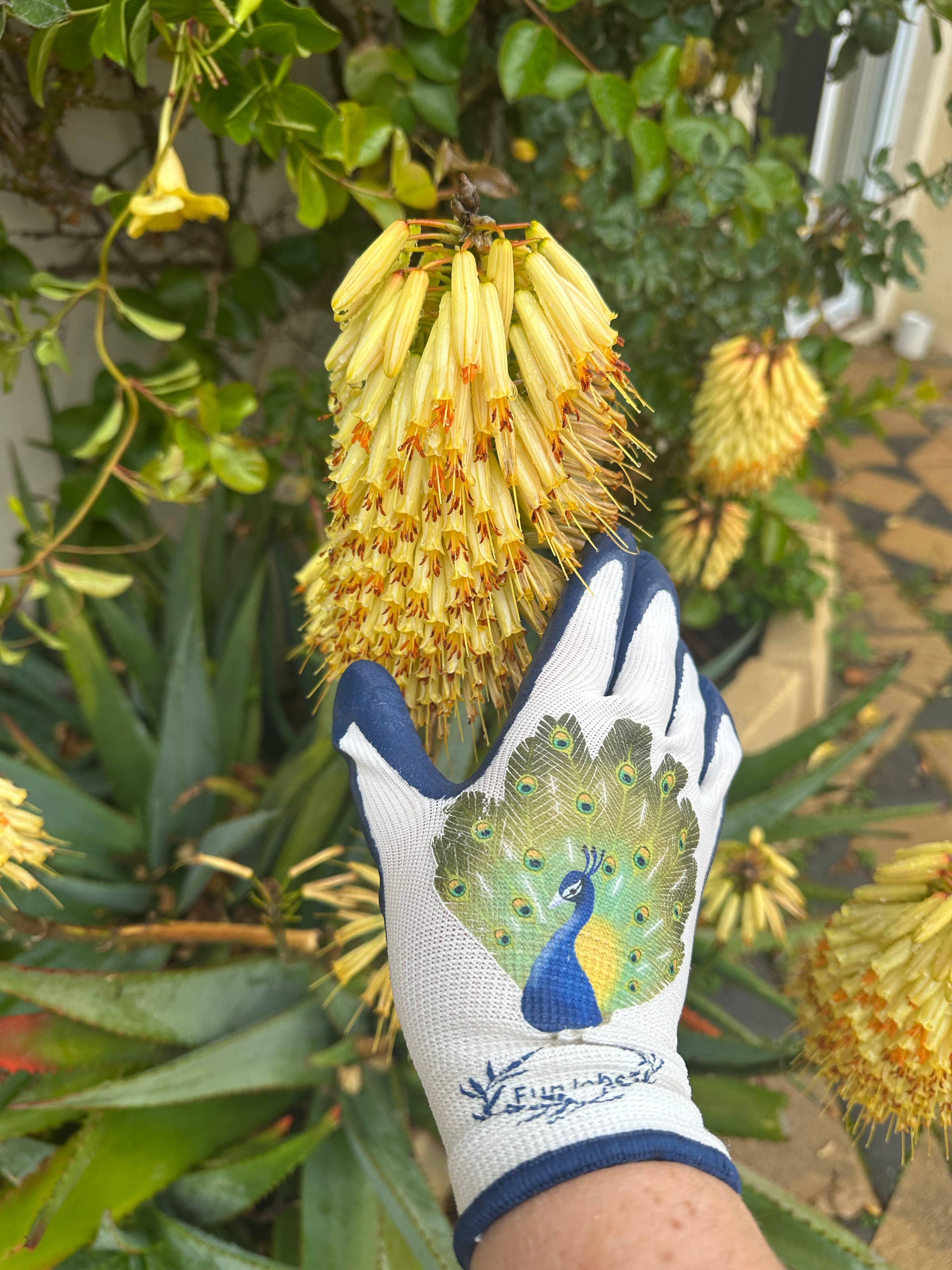 FunJobs Garden Gloves - Wholesale Garden Gloves - FunJobs Peacock Garden Gloves12