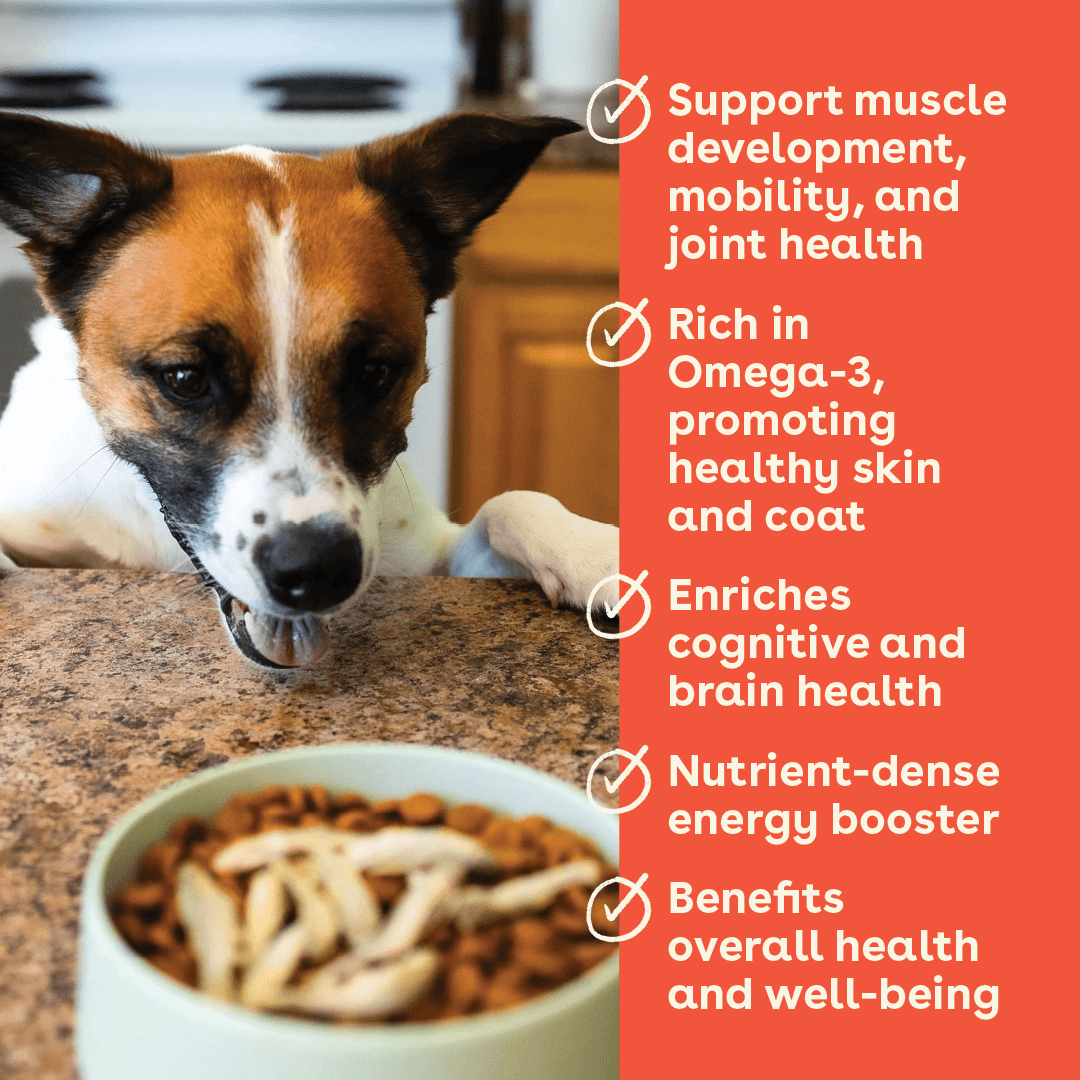 Pupford - Wholesale Pet Treats - Dog - Freeze Dried Minnows 1.5oz2