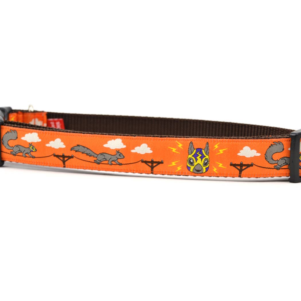 six point pet - Vente Collier – chien - Écureuils Lucha - Orange pétillante0