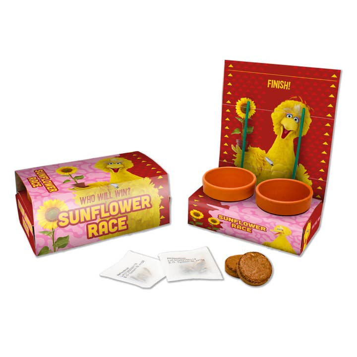 Juego de girasol Big Bird de Plaza Sésamo para venta al por mayor de Philos Green Products