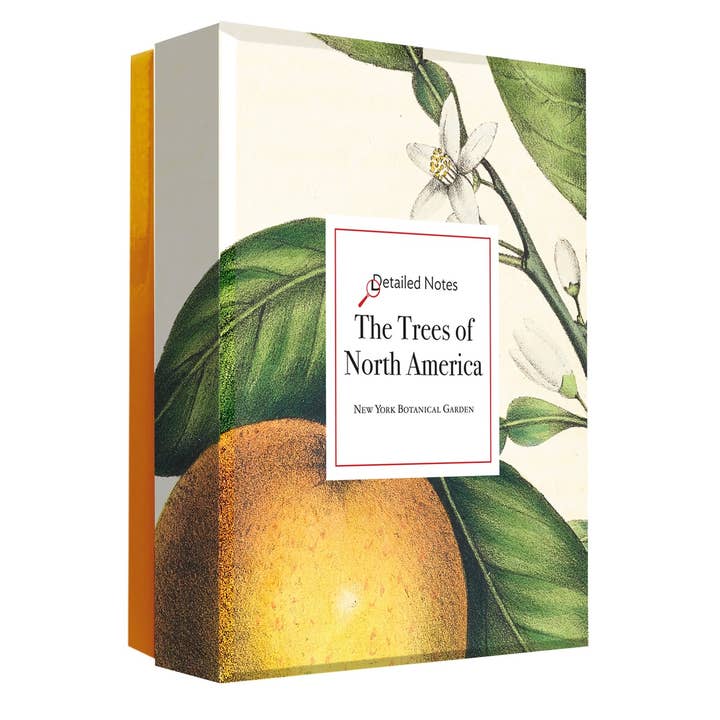W. W. Norton - Wholesale Stationery/Notecard Set - The Trees of North America note cards1