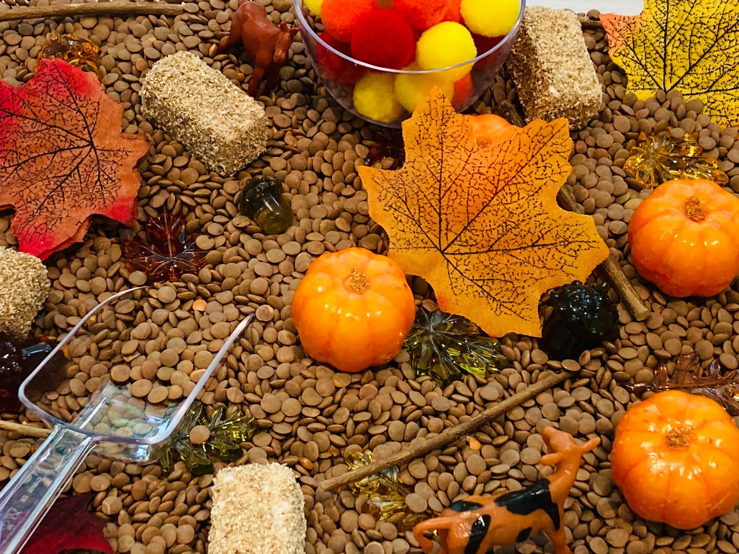 Curious Learning and Sensory – wholesale Toy set – Kids – Fall Pumpkin Patch Sensory Bin, Sensory Bins for Kids, Fall4