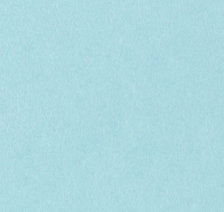 Farm and Finch Creative - Wholesale Everyday Greeting Card - American Kestrel Card2