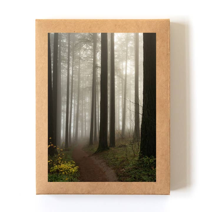 Set di Carte "Trunk Lines" in Scatola (8 Carte + Buste) per la vendita all'ingrosso da parte di Andrea Morris Art