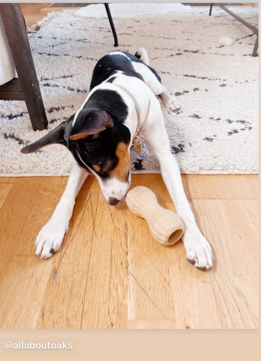 Poochie Butter - Wholesale Pet Chew Toy - Dog - Medium Peanut Dog Enrichment Toy & Feeder9