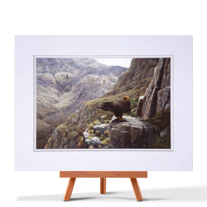 Golden Eagle Cliff Fine Art Print for wholesale by Julian Friers Wildlife Art & Gifts