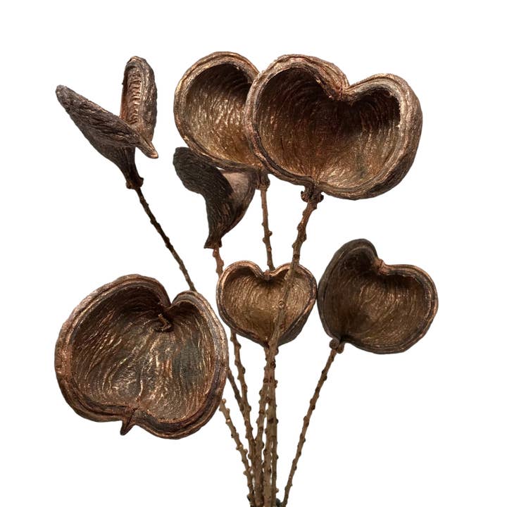 7 Stem Badam Nut Pod Bouquet Copper Bouquet for wholesale by Wilco Home