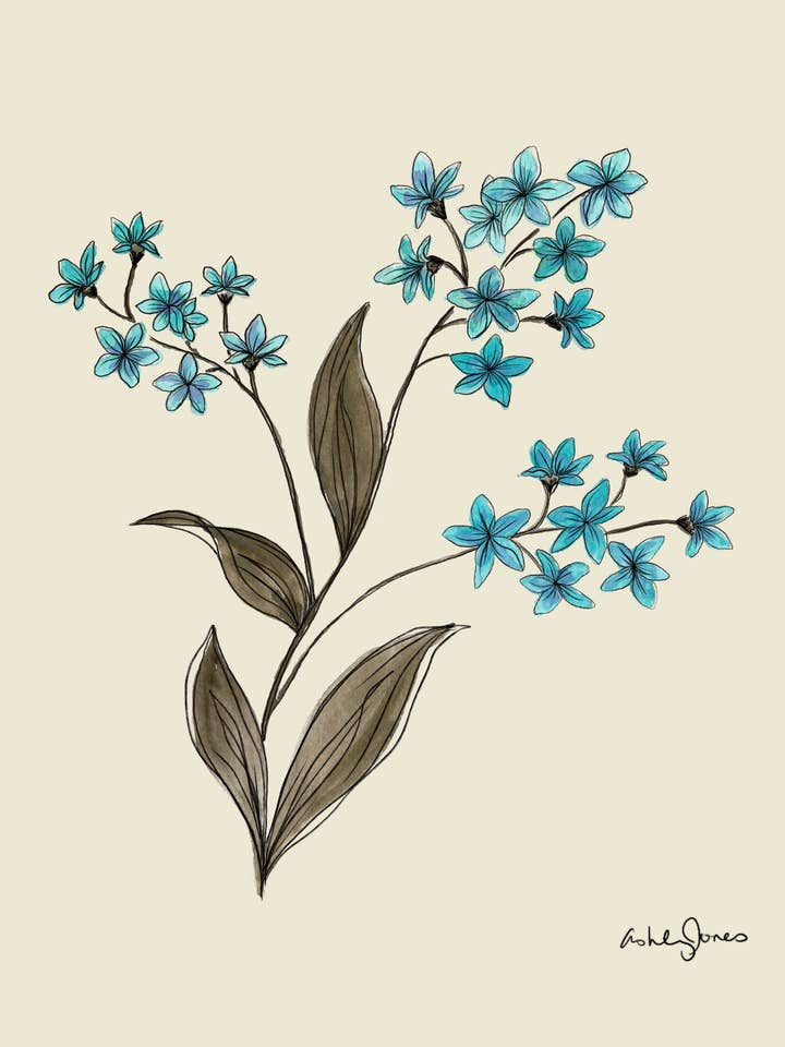 Forget Me Not Art Print for wholesale by Covered With Art