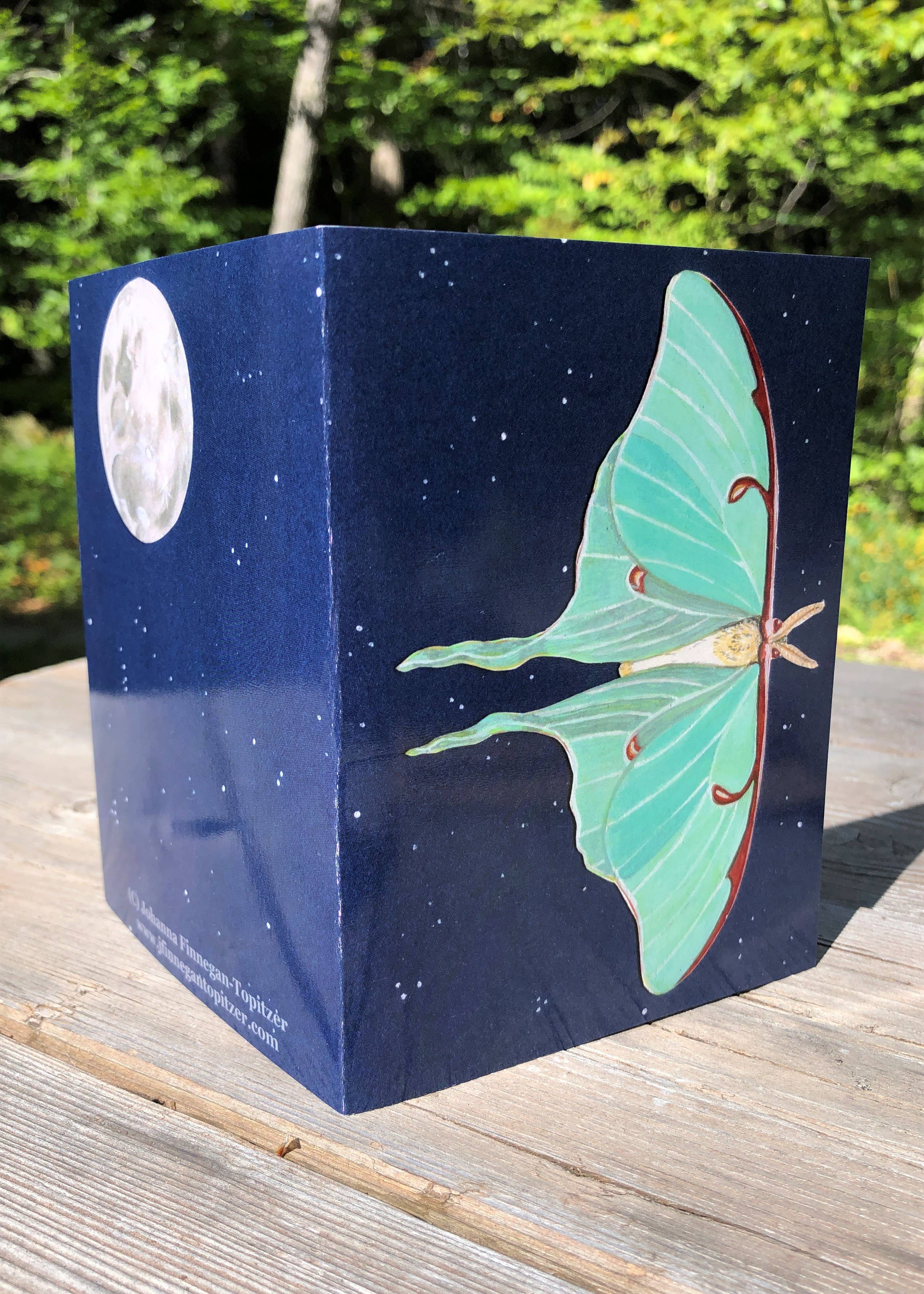 Johanna Finnegan-Topitzer - Wholesale Everyday Greeting Card - Luna Moth Blank Greeting Card, 4.25" x 5.5"1
