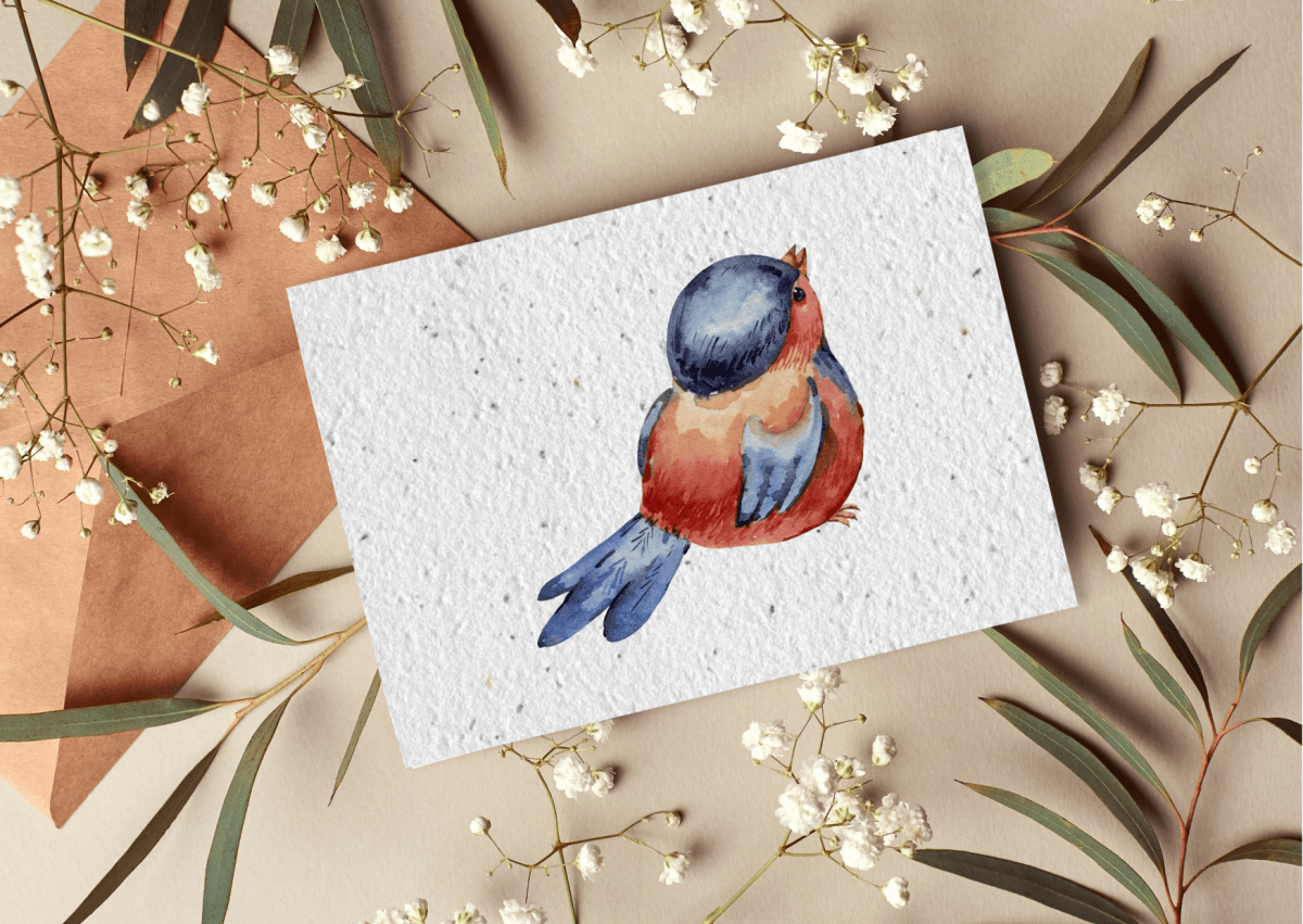 Mamie Bohéme - Wholesale Postcard - Postcard to plant “Bird”0