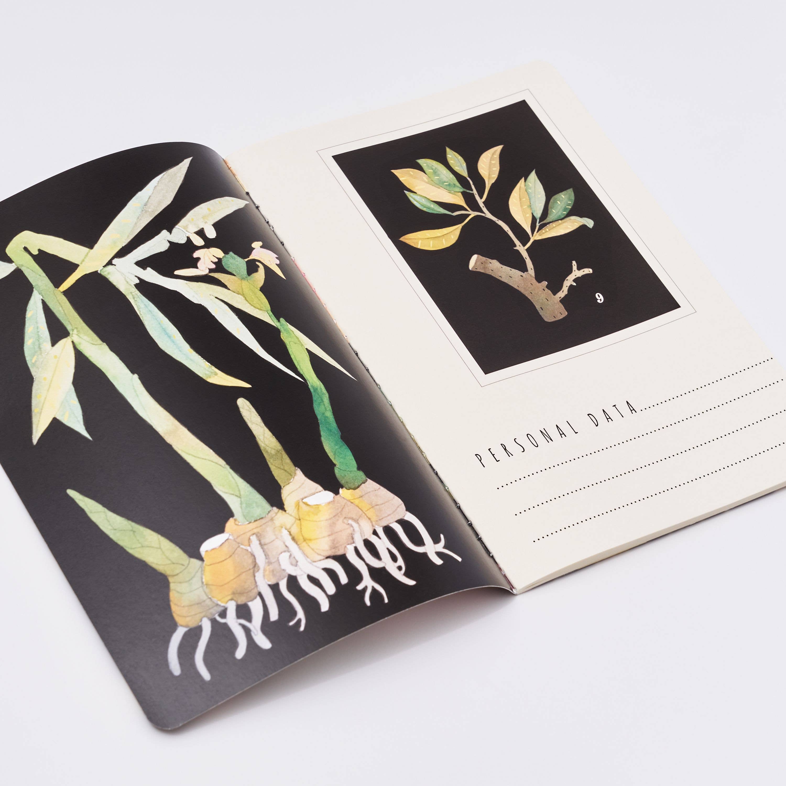 BV by Bruno Visconti - Wholesale Notebook - Botany Notebook3