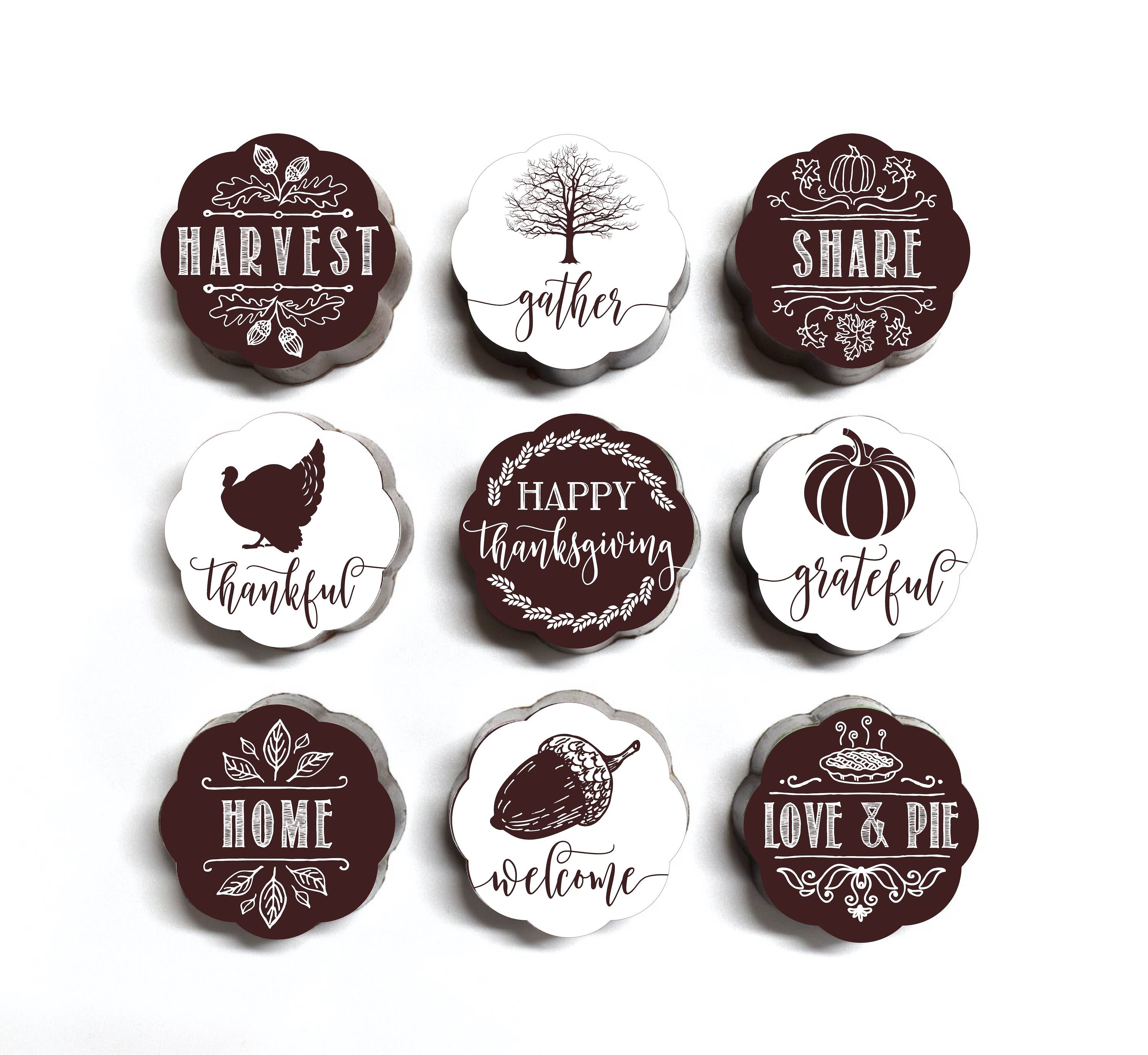 Chouquette - Wholesale Chocolate Box - October Wholesale Box4