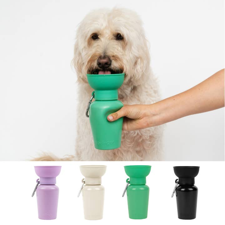 Springer Pets – Großhandel Haustiertrinkflasche – Hund – Reisetrinkflasche für Hunde, 20 Unzen, Flip Silicone (gemischt, 12er-Pack)