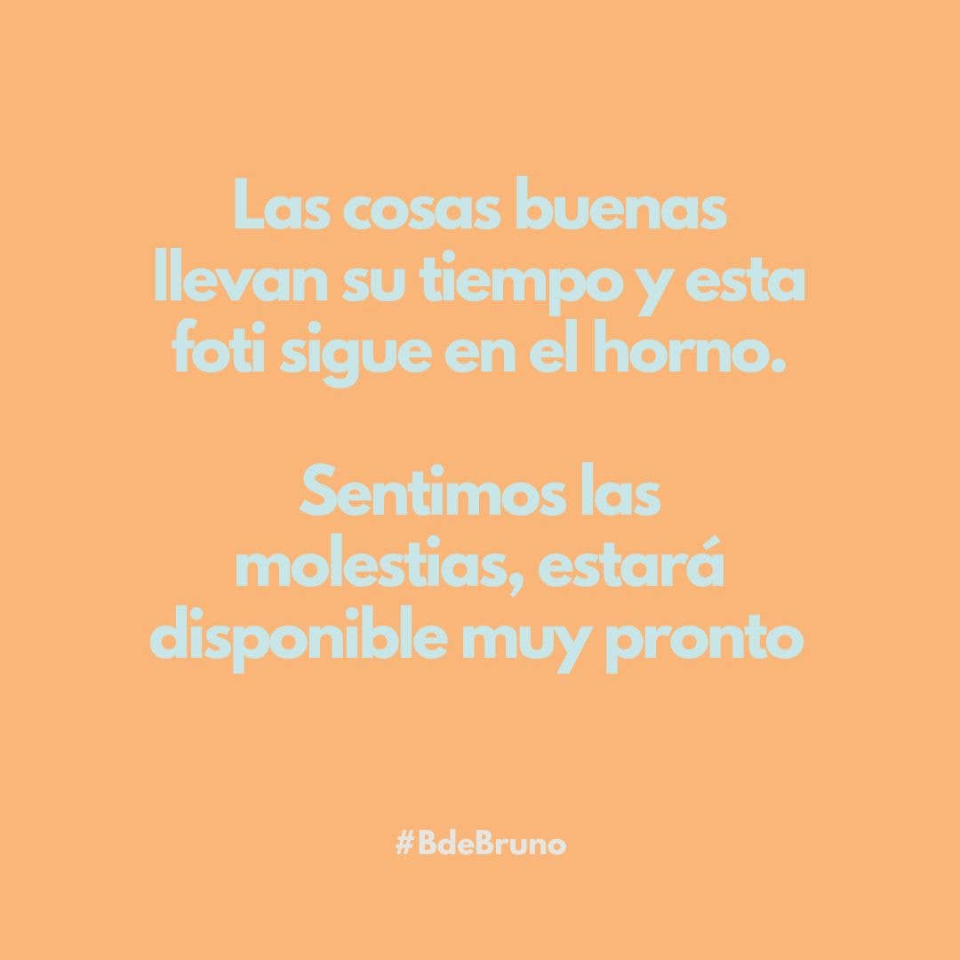 B de Bruno – Engroshandel Seng - Hund – Roll-Bed Basic Vichy Hundeseng5