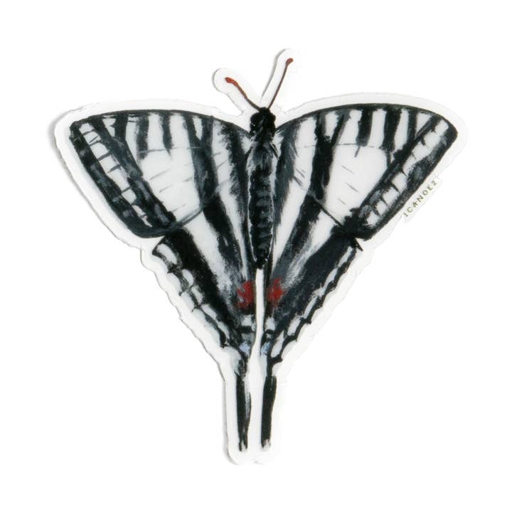 Calcomanía transparente con forma de mariposa con forma de cola de golondrina para venta al por mayor de 1canoe2 | One Canoe Two Paper Co.