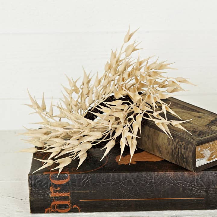 Impressive Enterprises, Inc. - Wholesale Wreath - 530065- 12in(3.5in) Twig Wreath-Cream Bearded Wheat Grass5