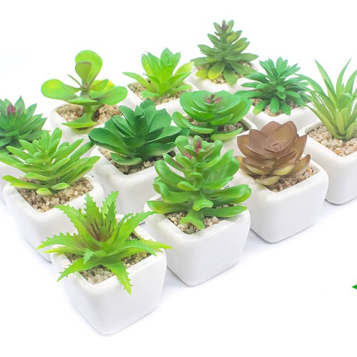 Esoterica Arte – wholesale Artificial plant – Artificial Succulents 5x5x8cm (12 unit)
