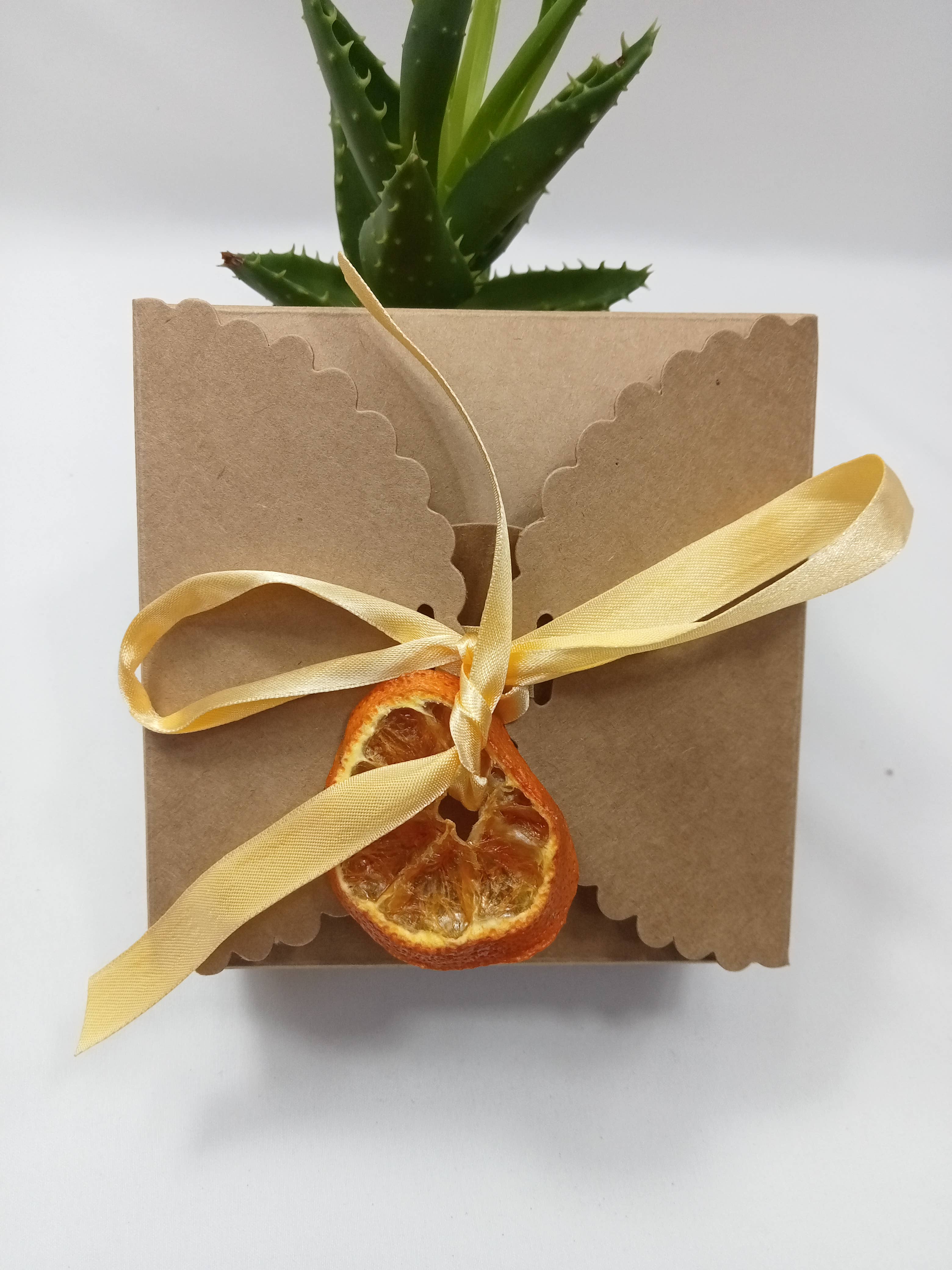 ZHENZHI - Wholesale Facial Care Set/Kit - Beauty gift box5