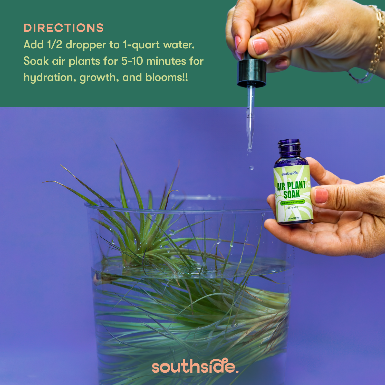 Southside. - Wholesale Fertilizer - Air Plant Fertilizer - Spray and Soak8