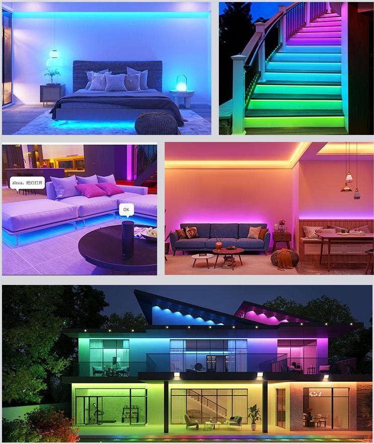 Wittbizz Snacks - Wholesale String Lights - RGB LED Strip Lights 100ft - Remote & App Control, Music Sync, Waterproof, DIY1