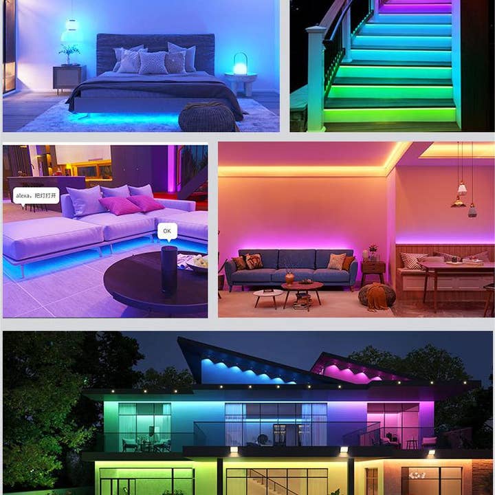 Wittbizz Snacks - Wholesale String Lights - RGB LED Strip Lights 100ft - Remote & App Control, Music Sync, Waterproof, DIY1