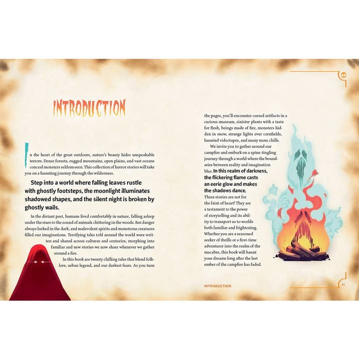 Gibbs Smith - Wholesale Horror & Paranormal - Creepy Campfire Stories: Frights to Tell at Night3