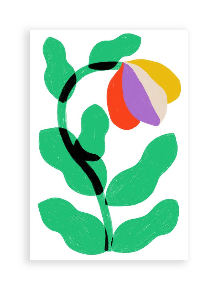 Stampa artistica floreale estiva per la vendita all'ingrosso da parte di Allison Poplett