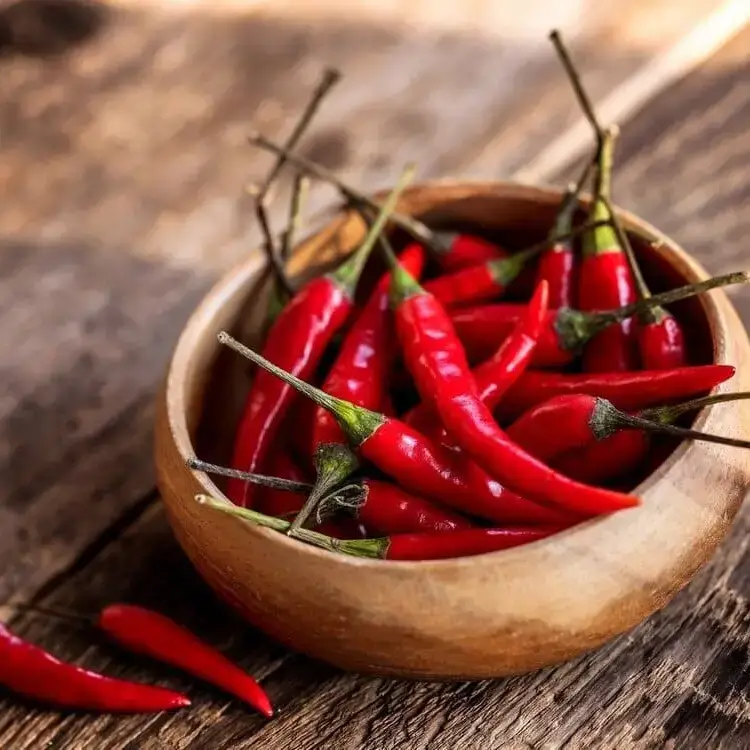 Bio Orto Società Cooperativa Agricola - Wholesale Pasta Sauce - Organic Arrabbiata Sauce 185gr1