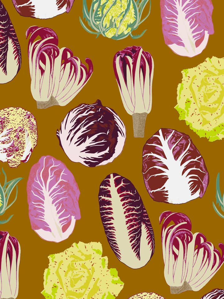 Papel de regalo de radicchio para venta al por mayor de Kate Blairstone