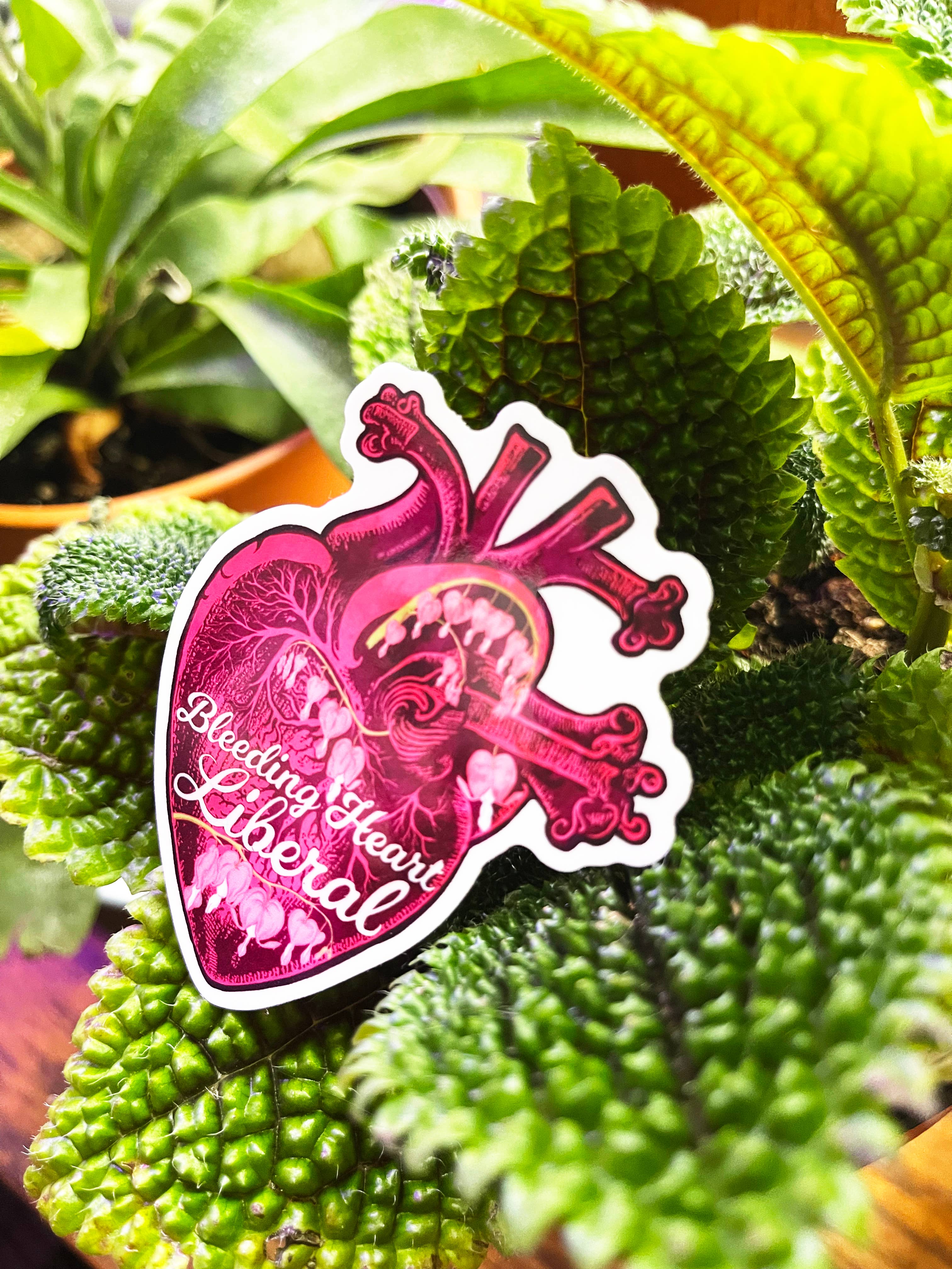 Fabulously Feminist – Großhandel Aufkleber – Bleeding Heart Liberal: Feministischer Aufkleber6