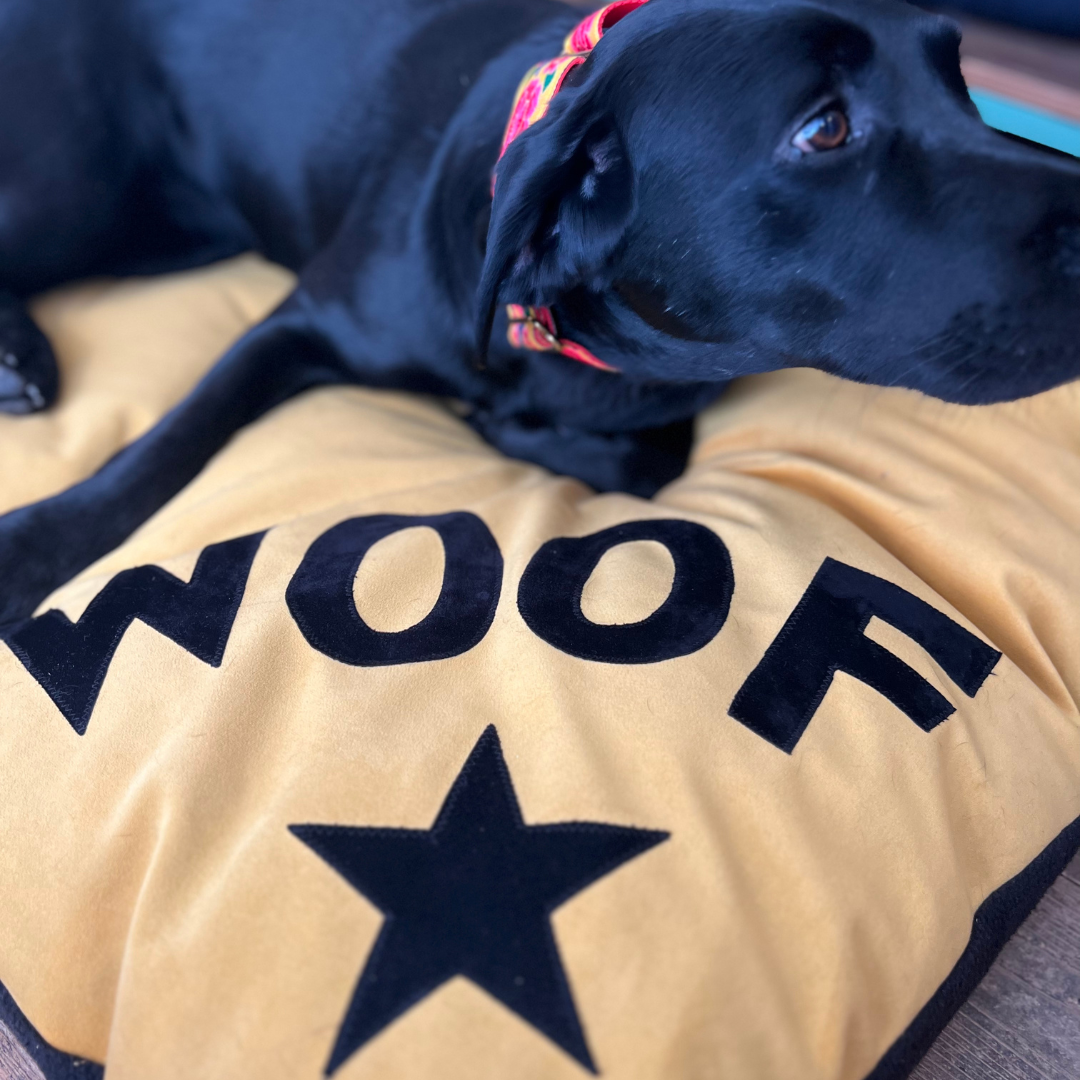 Creature Clothes - Wholesale Pet Bed - Dog - Dog bed in mustard velvet with black WOOF letters and star detail6