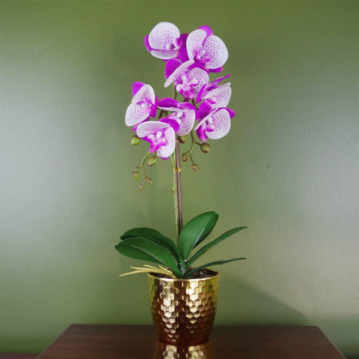 Purple White Orchid Artificial 50cm Gold Pot Real Touch for wholesale by Leaf Design UK LTD