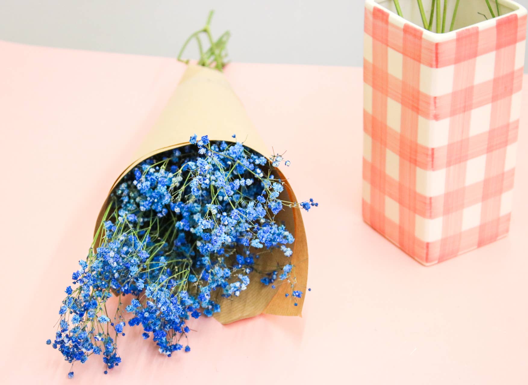 Wildestdreams.flowers - Wholesale Dried/Pressed Flowers - Dried Blue Gypsophila Baby's Breath 1