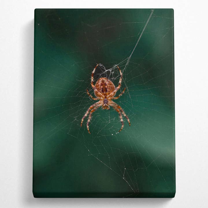 Simply Canvas Art – wholesale Art print – Green Web Weaver