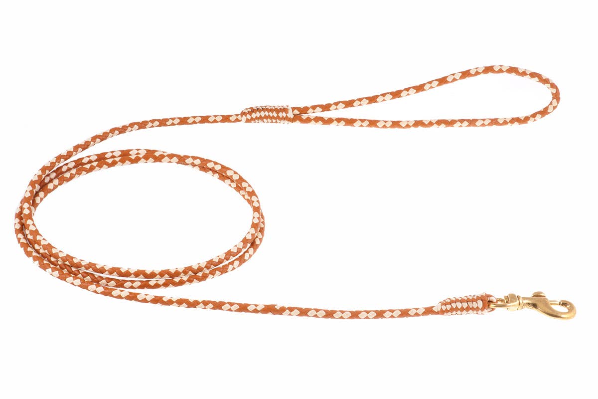 Alvalley - Wholesale Pet Leash - Dog - Braided Leather Snap Leads111