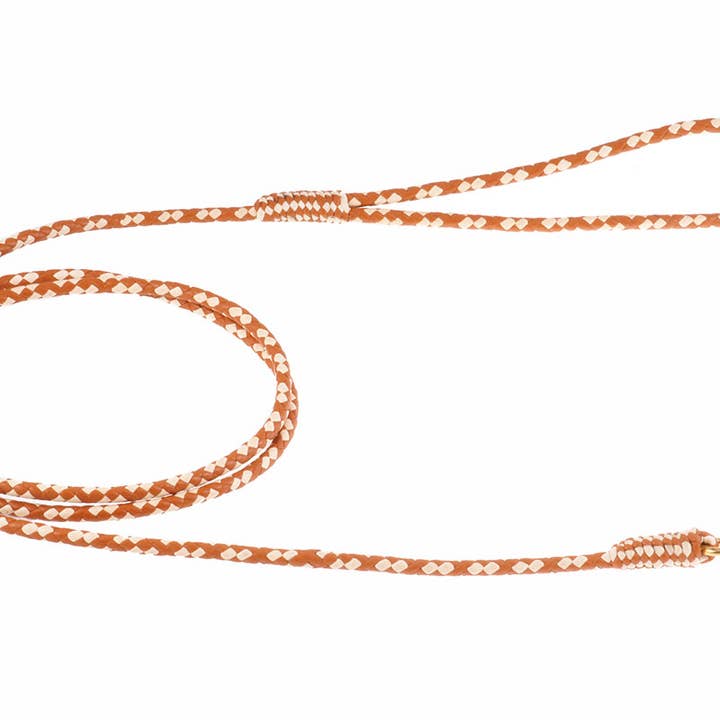 Alvalley - Wholesale Pet Leash - Dog - Braided Leather Snap Leads111