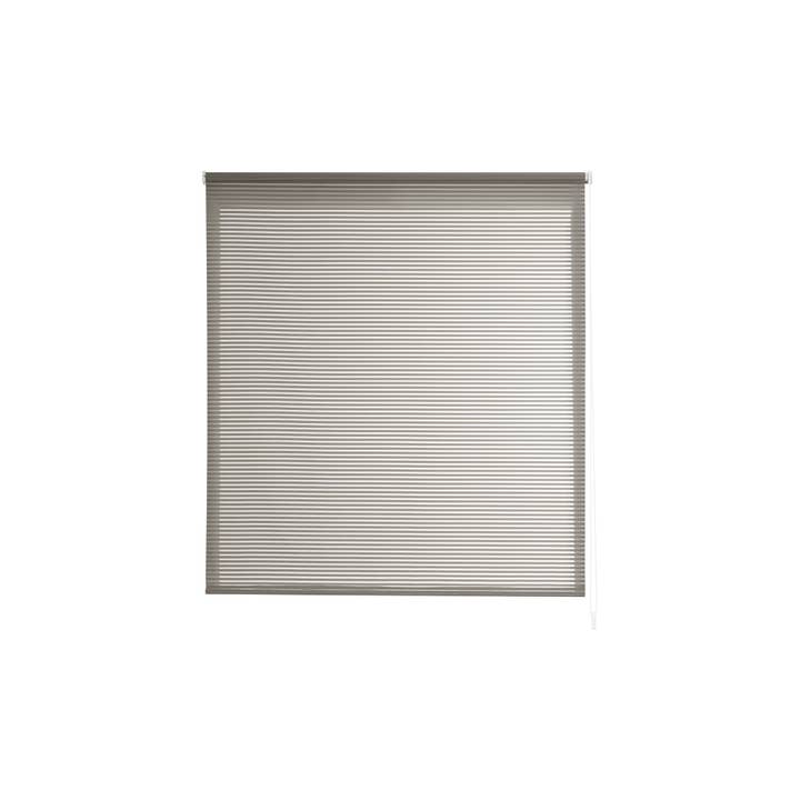 Gris Estor Enrollable Sin Taladrar Easy Fix Translucido Robert de venta al por mayor en Faire1