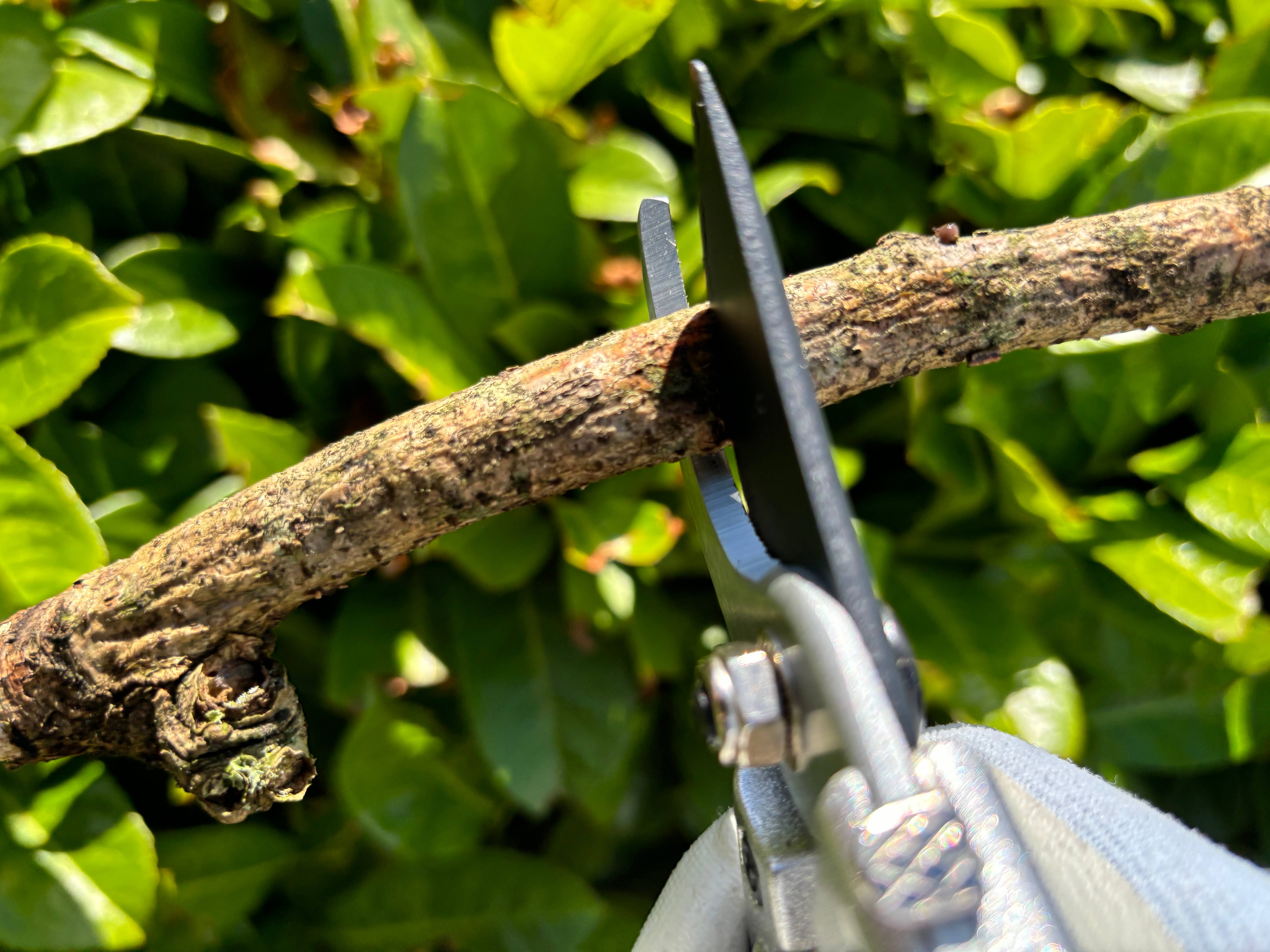 Gärtnertraum – wholesale Trädgårdsverktyg – Grensax - Sekatör22