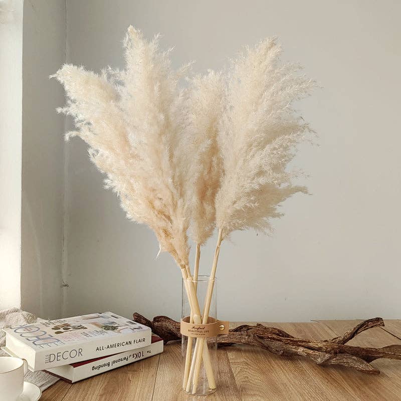 BRECK + FOX - Wholesale Dried/Pressed Flowers - Dried Natural Grass Plumes 10-Piece Set8