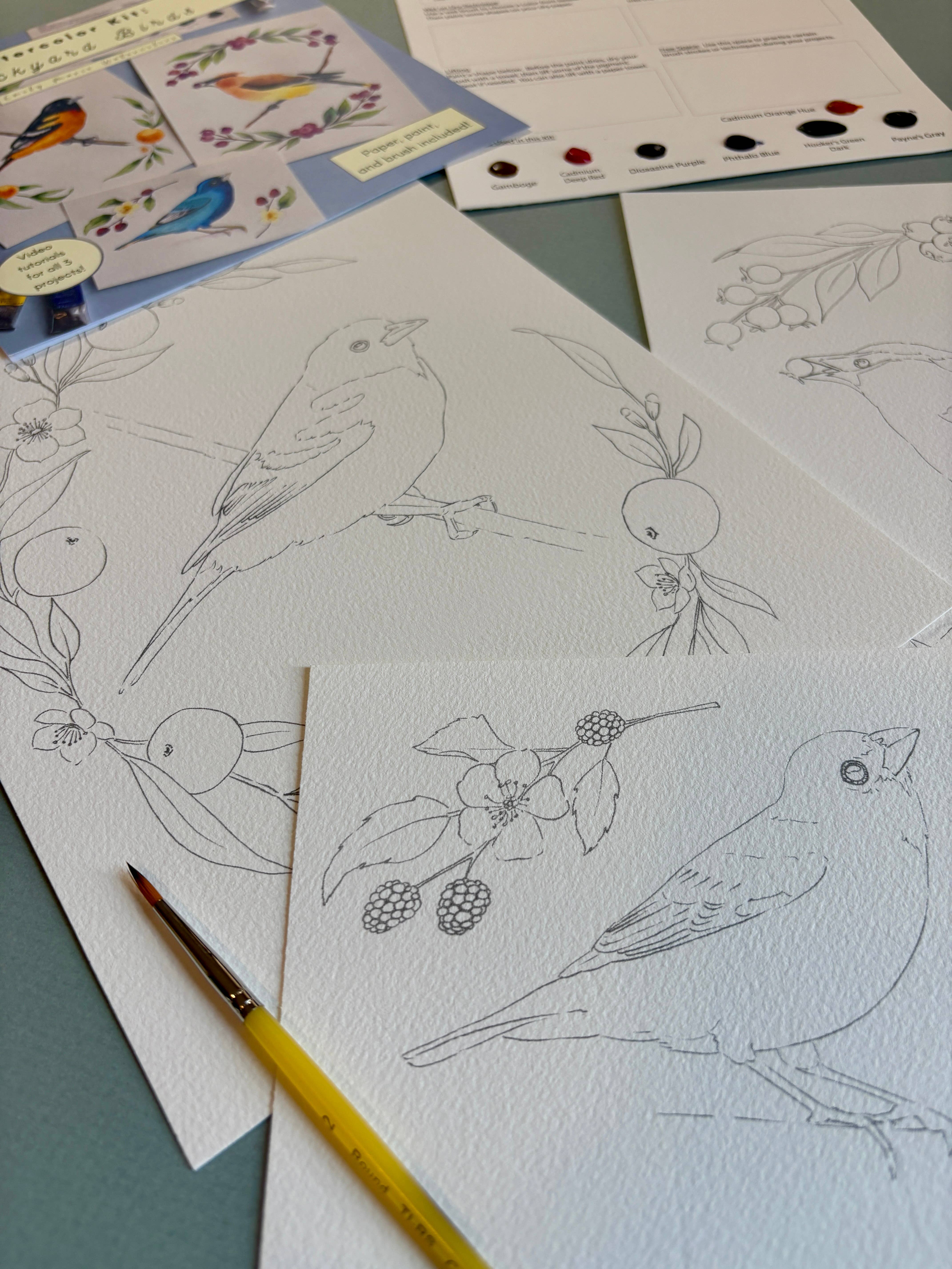 Emily Marie Watercolors - Wholesale DIY Craft Kit - Watercolor Painting Kit: Backyard Birds3