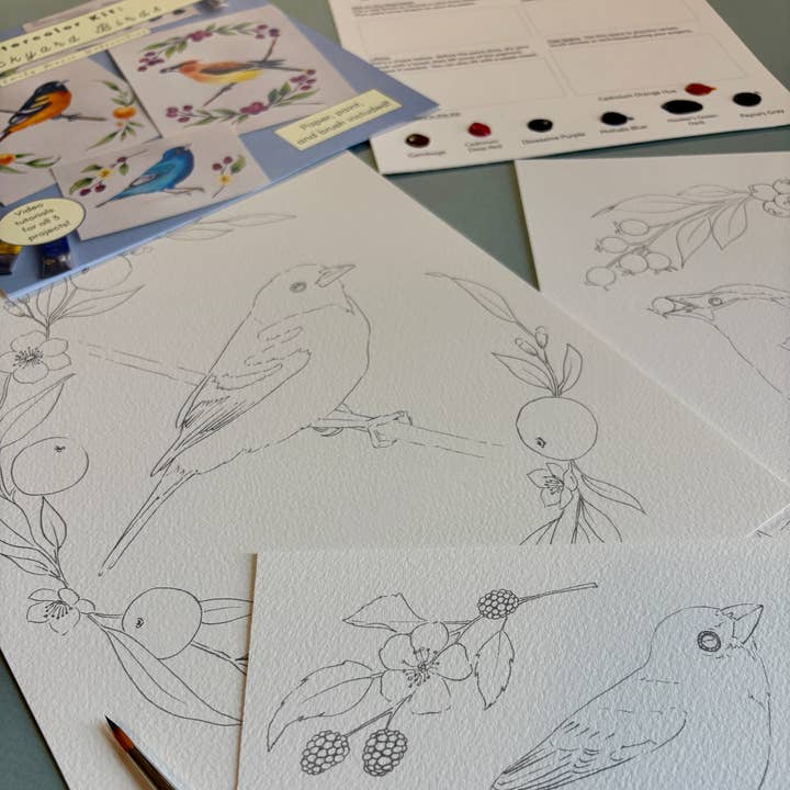 Emily Marie Watercolors - Wholesale DIY Craft Kit - Watercolor Painting Kit: Backyard Birds3