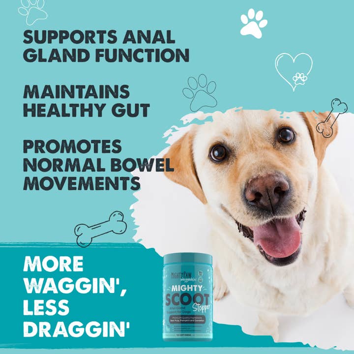 Mighty Paw - Wholesale Pet supplement – Dog - Mighty Scoot Stopper: Anal Gland Support Supplement1