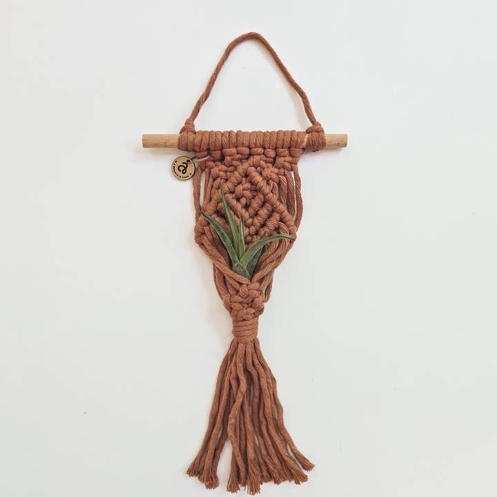 A Branch & Cord - Vendita all'ingrosso Fioriere a sospensione - Portavaso per Piante Aeree in Macramè – Decorazione Boho per Piante Sospese3