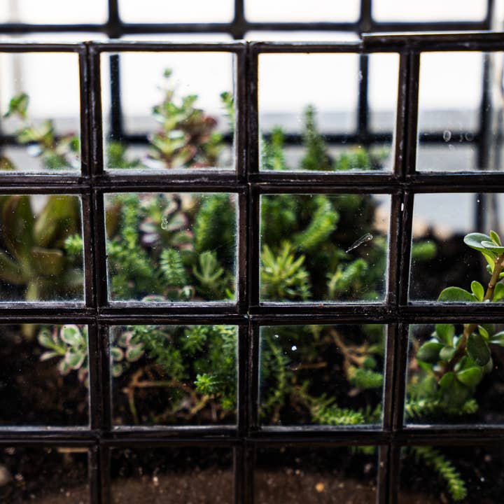 Urban Born - Wholesale Terrarium - Glass Terrarium Lattice, Large, 8x8x12"8