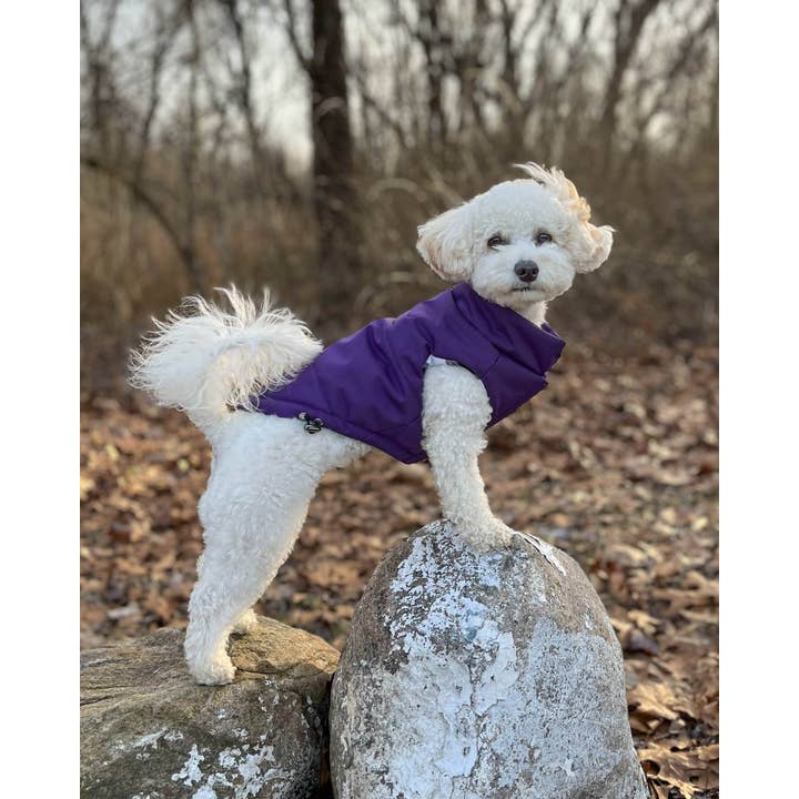 DJANGO - Wholesale Pet Coat - Dog - Reversible Puffer Dog Coat - Violet Purple2