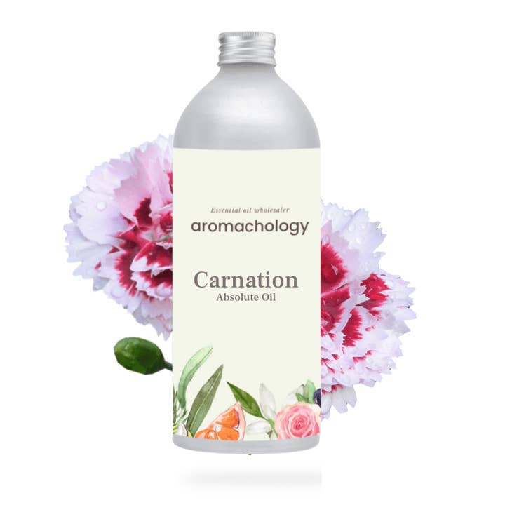 Aromachology - Wholesale Essential oil - Carnation Absolute