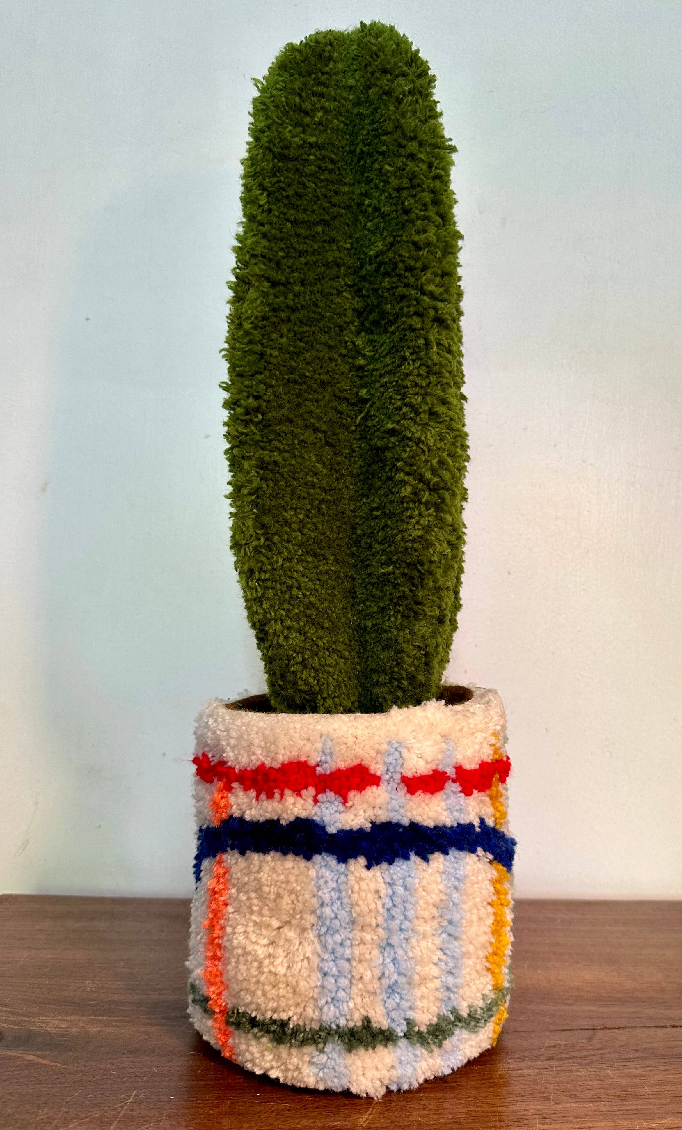 Good to Know You - Wholesale Plant Pot - rug tufted plant sculpture cactus plant senita1